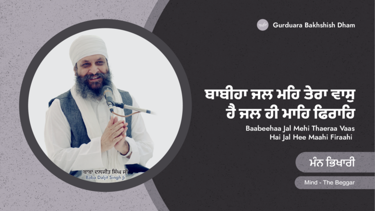 ਮੰਨ ਭਿਖਾਰੀ | Mind – The Beggar