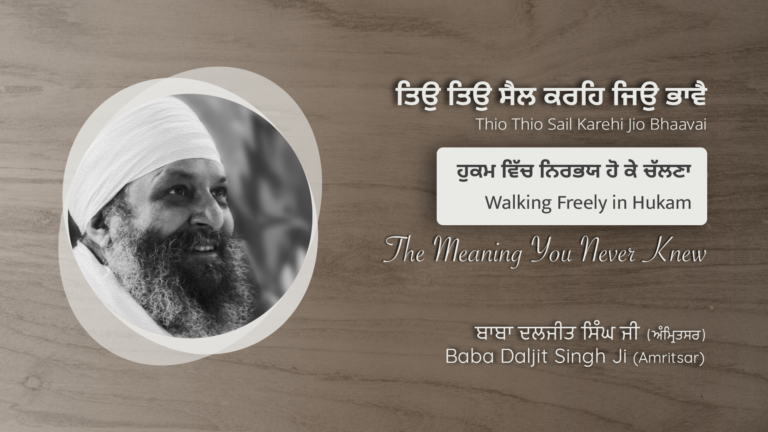 ਹੁਕਮ ਵਿੱਚ ਨਿਰਭਯ ਹੋ ਕੇ ਚੱਲਣਾ | Walking Freely in Hukam – A Rare Gurmat Insight