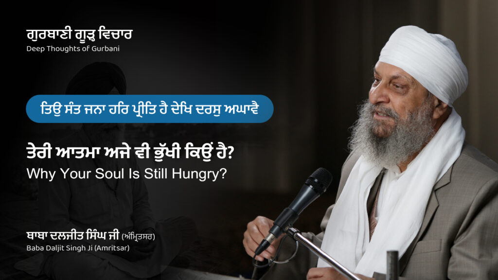 ਤੇਰੀ ਆਤਮਾ ਅਜੇ ਵੀ ਭੁੱਖੀ ਕਿਉਂ ਹੈ? Why Your Soul Is Still Hungry?