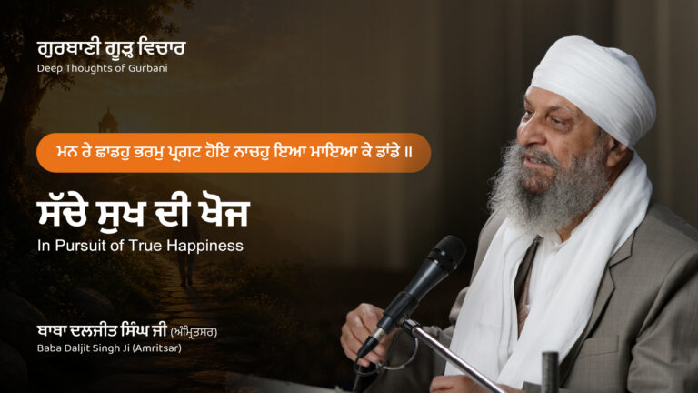 ਸੱਚੇ ਸੁਖ ਦੀ ਖੋਜ | In Pursuit of True Happiness