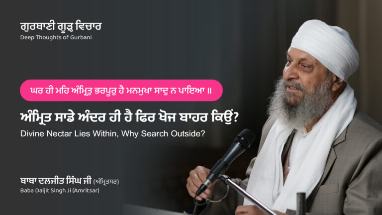 ਅੰਮ੍ਰਿਤ ਸਾਡੇ ਅੰਦਰ ਹੀ ਹੈ ਫਿਰ ਖੋਜ ਬਾਹਰ ਕਿਉਂ? | Divine Nectar Lies Within, Why Search Outside?
