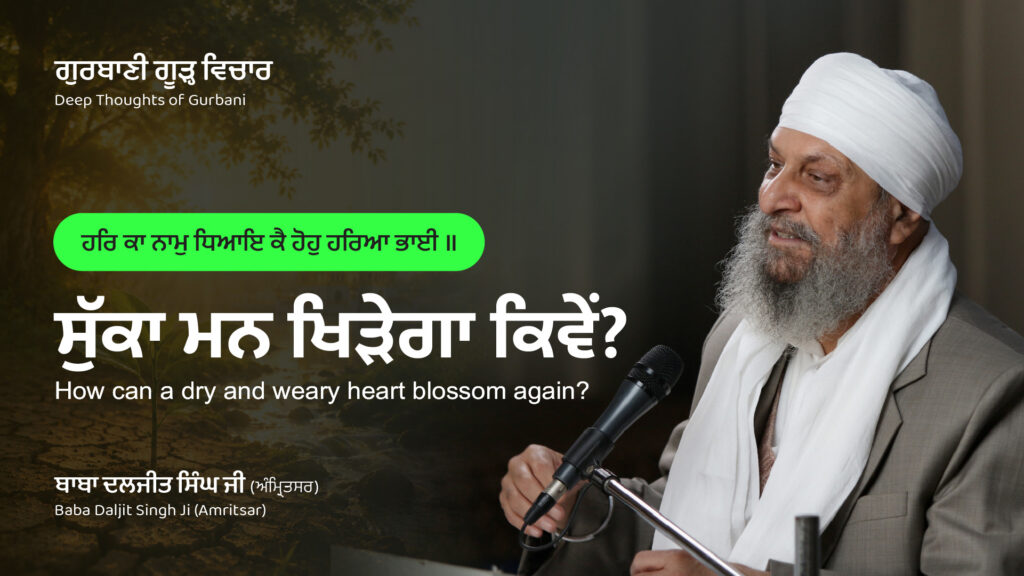ਸੁੱਕਾ ਮਨ ਖਿੜੇਗਾ ਕਿਵੇਂ? | How can a dry and weary heart blossom again?